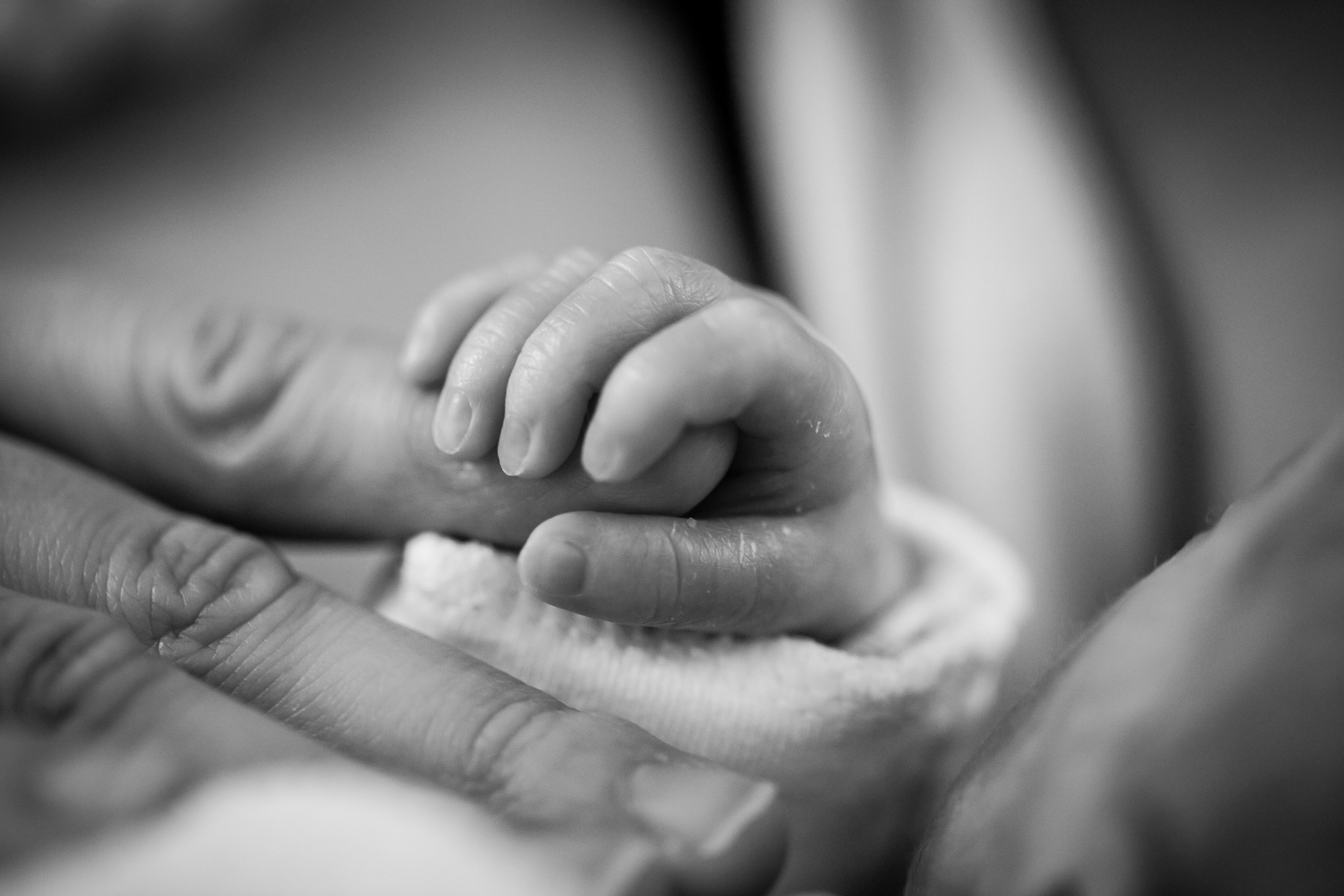 A newborn baby grasping an adult finger.